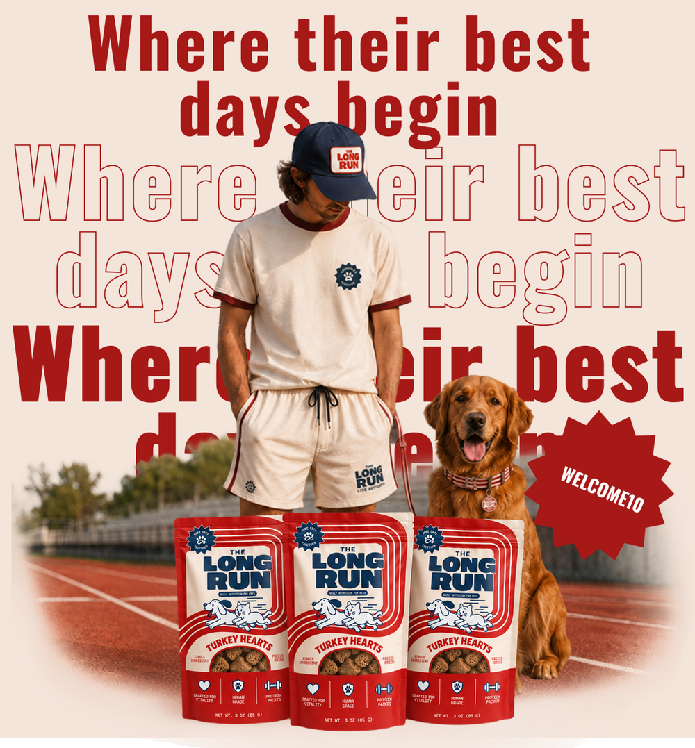 Better treats. More days. Simple ingredients for the pets we love.